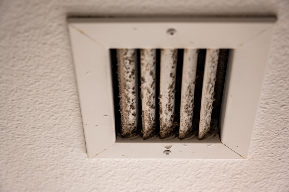 Mold in Your HVAC System: Causes, Signs and Prevention » Cafco